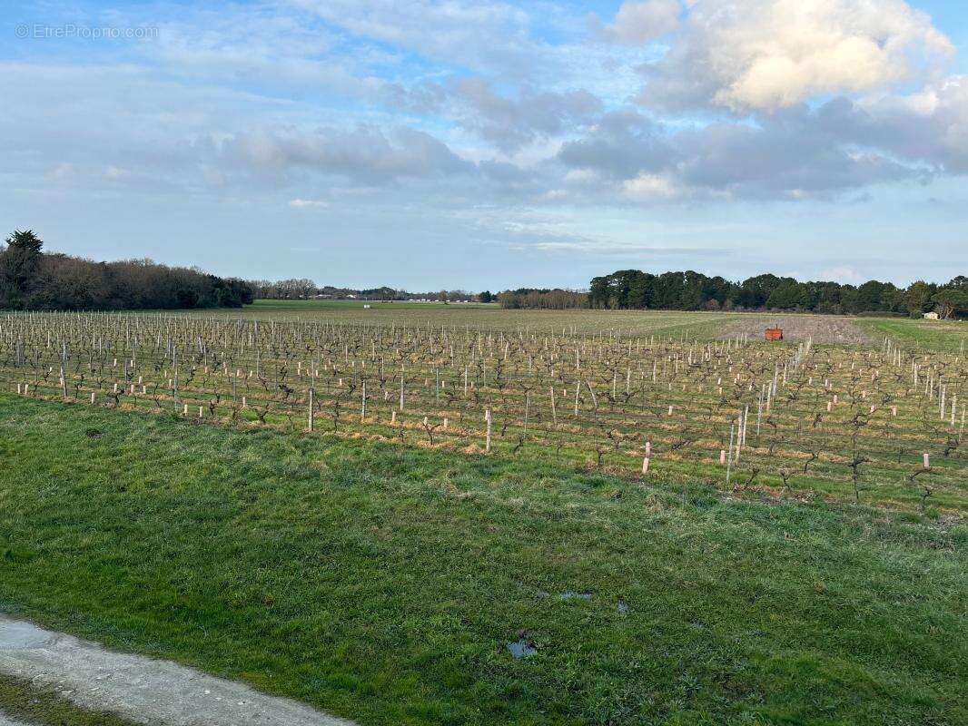Maison à SAINT-PIERRE-D'OLERON
