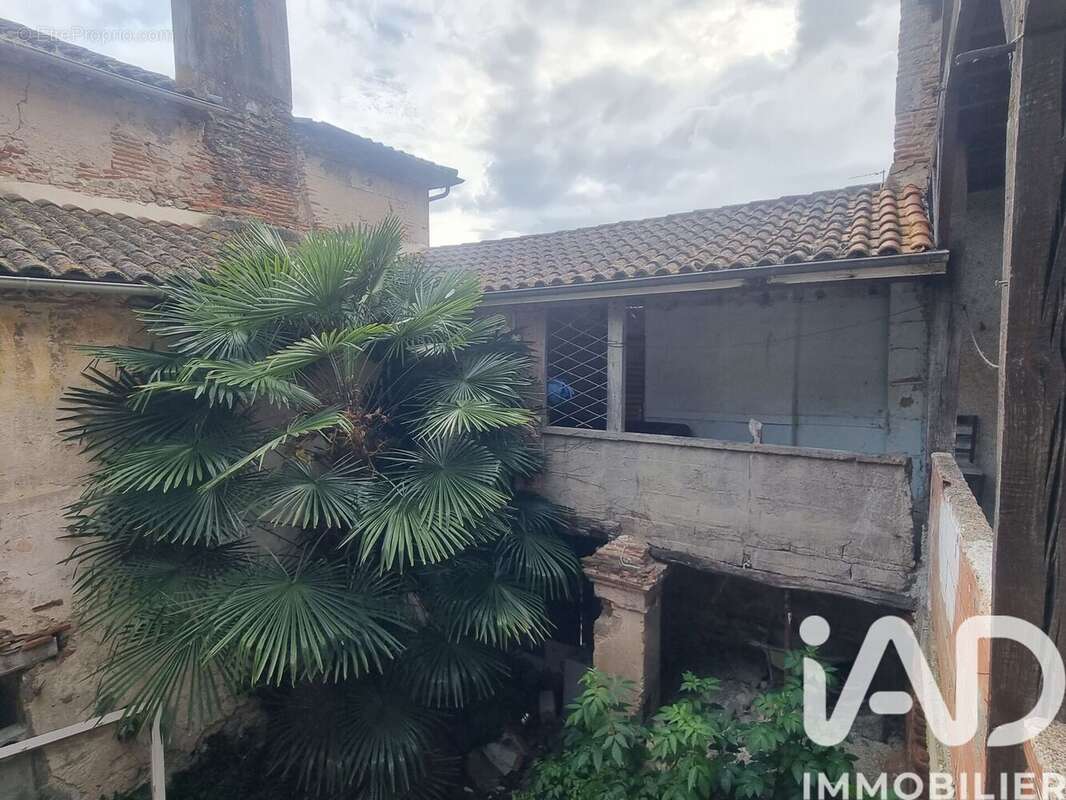 Photo 8 - Appartement à PORT-SAINTE-MARIE