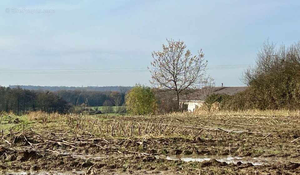 Terrain à POLLIAT