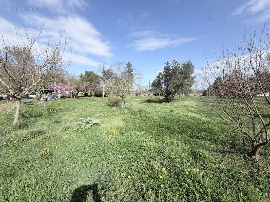 Maison à PUCH-D'AGENAIS