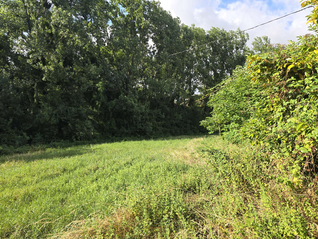 A vendre maison à la campagne - photo 13