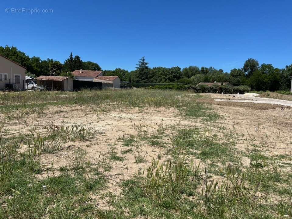Terrain à RICHERENCHES