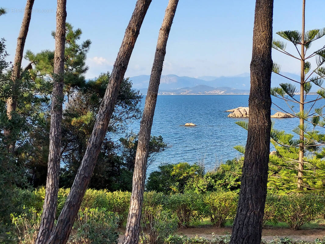 Maison à PIETROSELLA