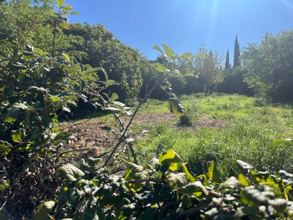 Terrain à LES PENNES-MIRABEAU