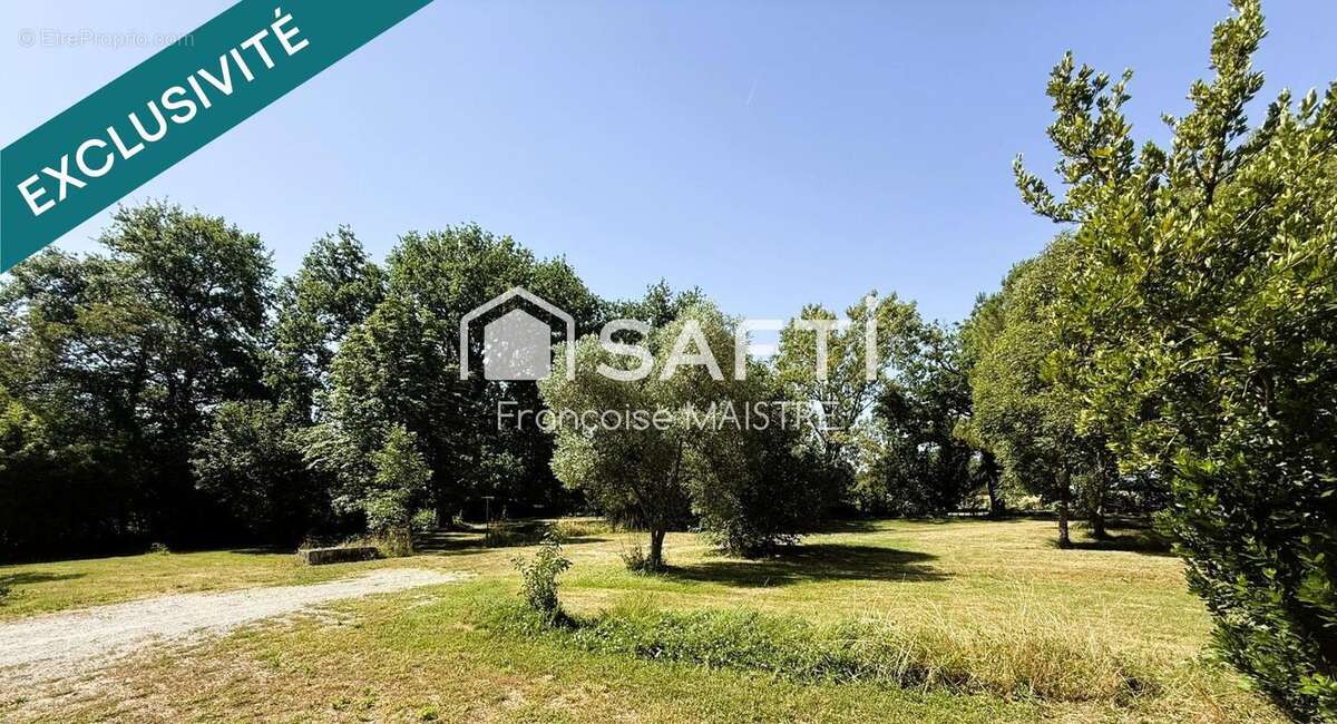Photo 4 - Maison à SAINT-AVIT