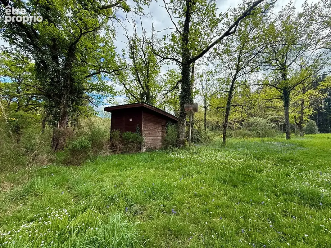 Etang Lamaids 9000 m2 sur terrain de 2 hectares 3930m2 avec chalet - photo 10