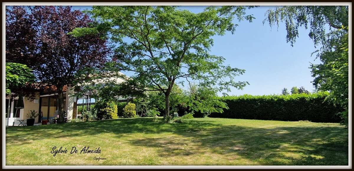 Propriete à vendre 8 pièces 285 m² REPLONGES (01), Piscine, 4 suites, double garage, terrain 2136 m² - photo 4