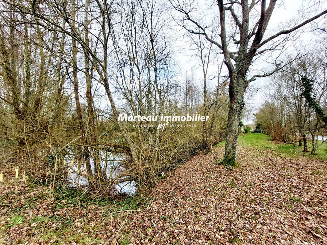 Terrain à YVRE-L'EVEQUE