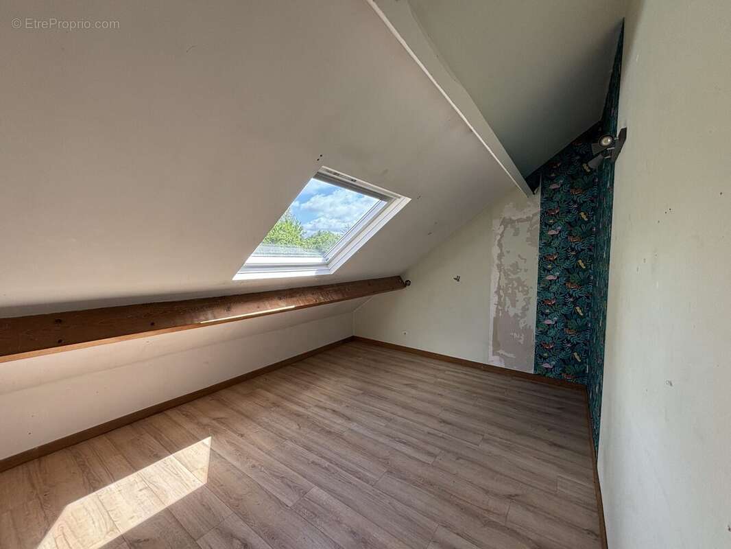 Maison 162 m² à Saint-Martin-Sur-Ecaillon  - photo 9