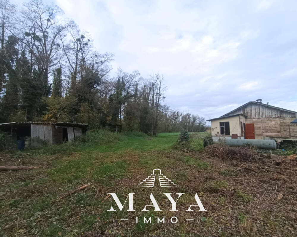 Terrain à STEINBRUNN-LE-BAS