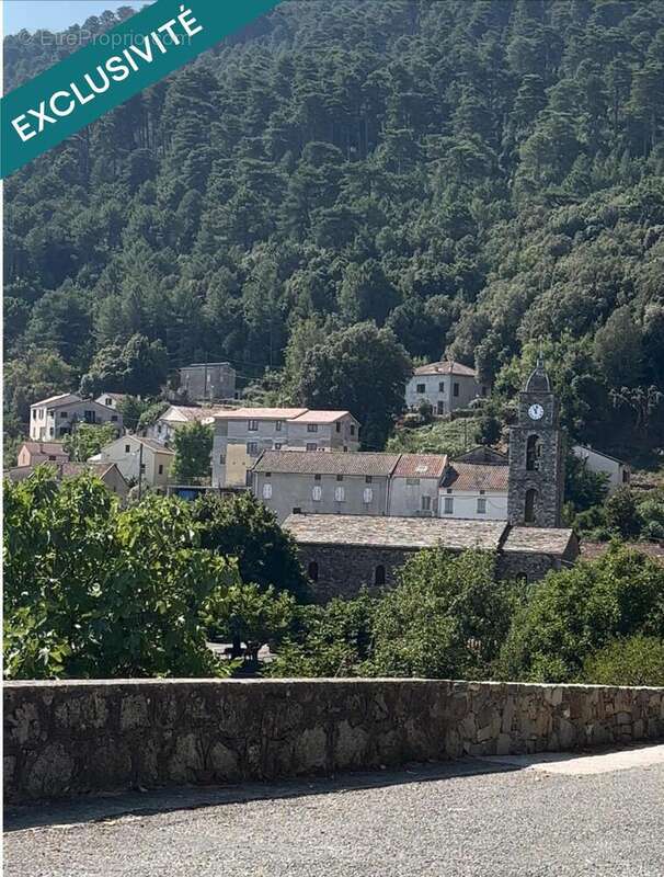 Photo 5 - Maison à ROSPIGLIANI