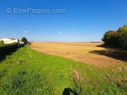 Terrain à VILLIERS-EN-PLAINE