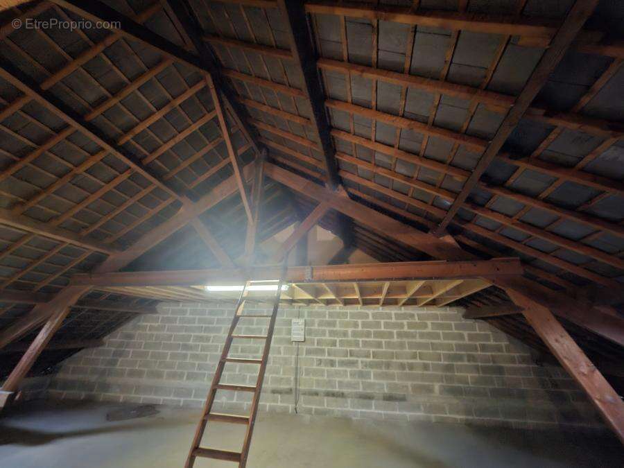 406 m² à Saint-Denis-D'anjou  - photo 1355