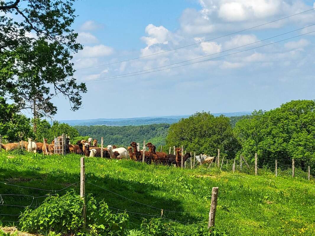 Commerce à VILLEFRANCHE-DE-ROUERGUE