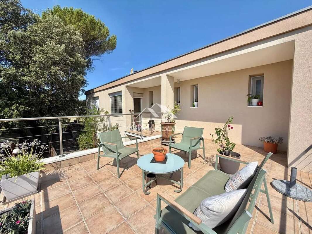 Maison d 'architecte de 200 m² habitable - piscine - 2540m² de terrain - 2 logements - photo 15