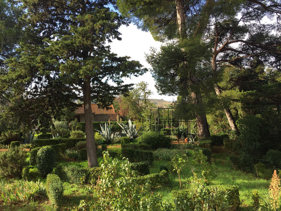 Maison de cachet de 367m2 sur un niveau avec un terrain de 800m2 - PLAISSAN - PEZENAS - photo 20