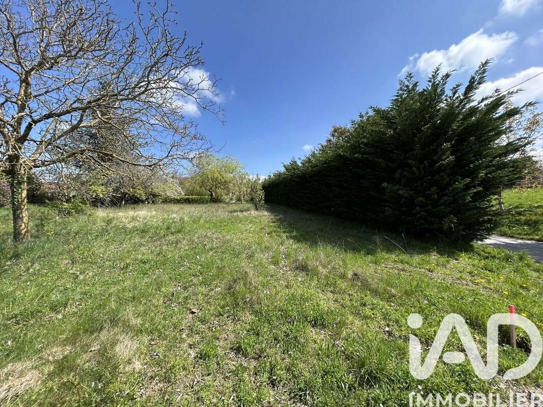 Photo 5 - Terrain à VIRY