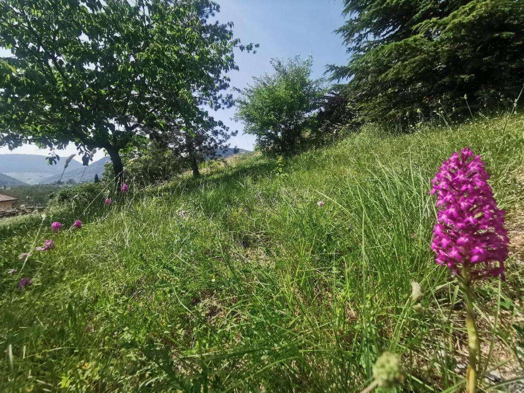 Terrain à MOSTUEJOULS