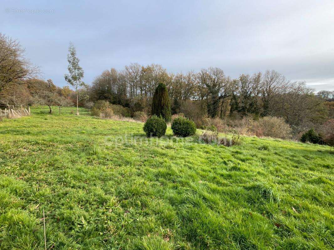 Maison en pierre avec grange et jardin de 2000 m2 et bois - photo 12