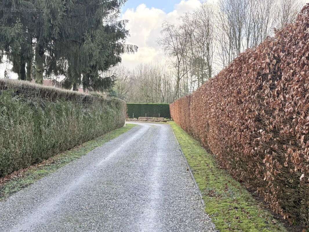 Maison à WERVICQ-SUD