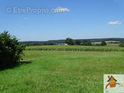Terrain à BOULOIRE