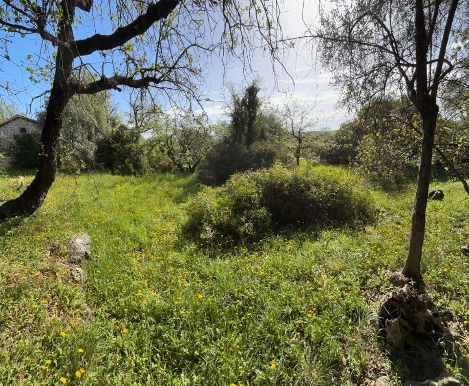 Terrain à LA GAUDE