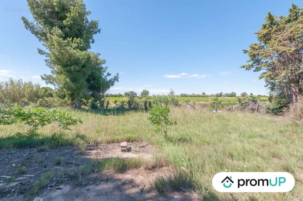 Terrain à MARSEILLAN