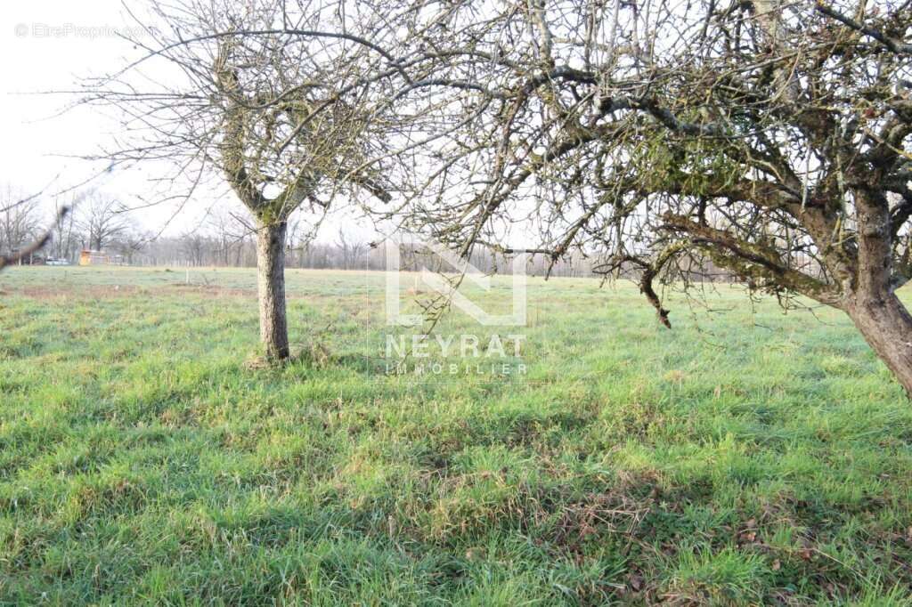 Terrain 624 m² à Saint-Germain-Du-Bois  - photo 2