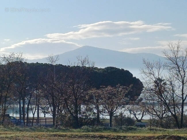 Terrain à VILLENEUVE-DE-LA-RAHO