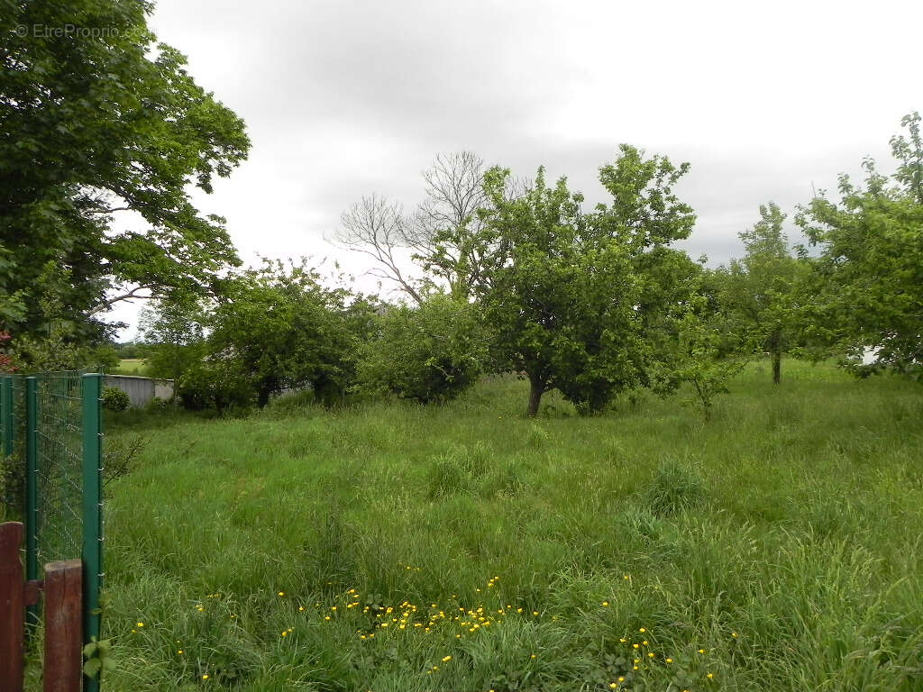 Terrain à PLOUGONVEN