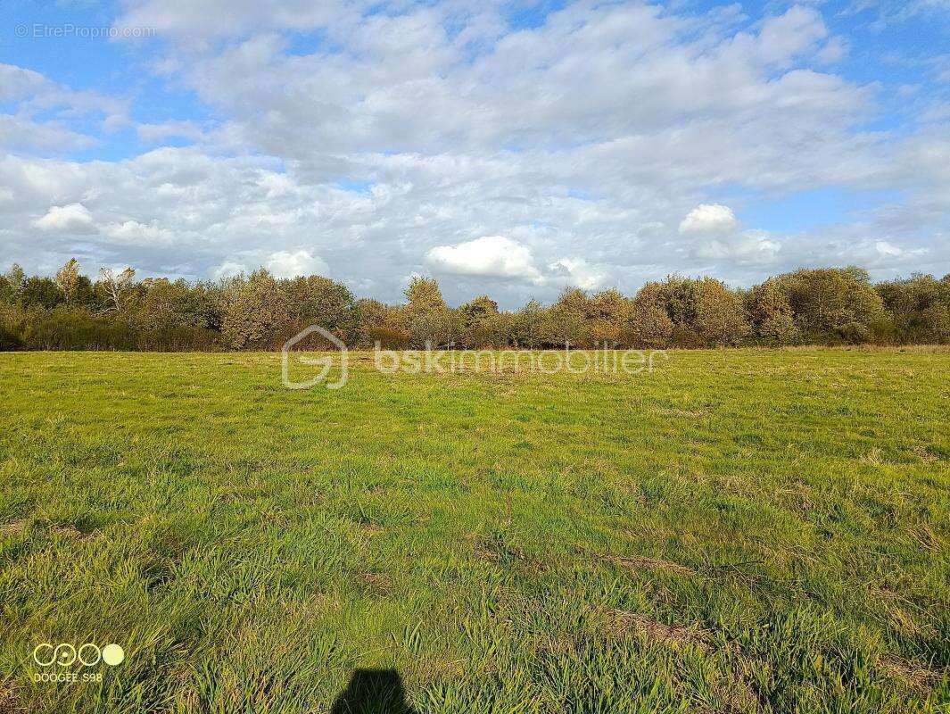 Terrain Agricole d’Exception – 15 Hectares à Aire-sur-l’Adour (40800) - photo 2