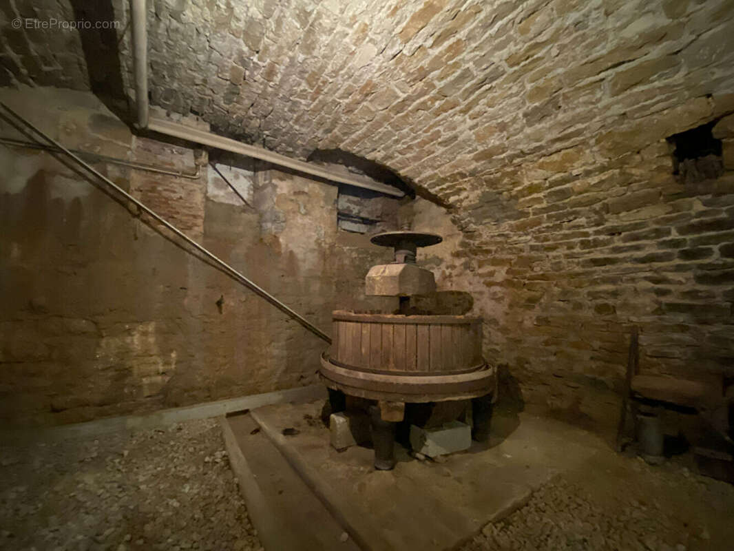 RARE sur Arbois : 2 maisons avec un ancien moulin - photo 17