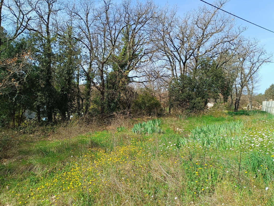 Terrain à FOX-AMPHOUX