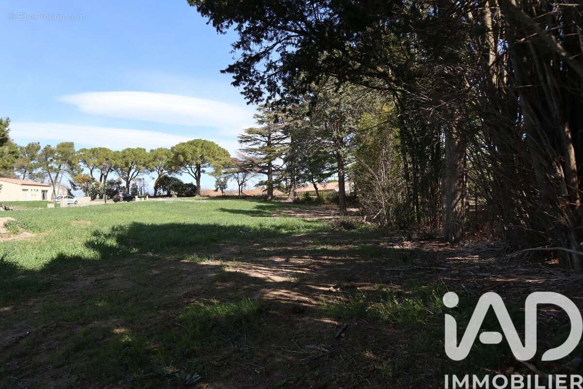 Photo 6 - Terrain à ESCALES