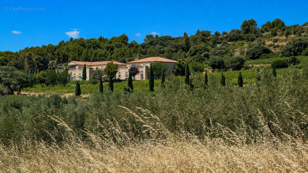 Propriété viticole - photo 1