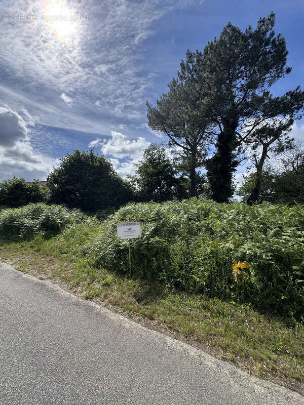 Terrain à PONTIVY