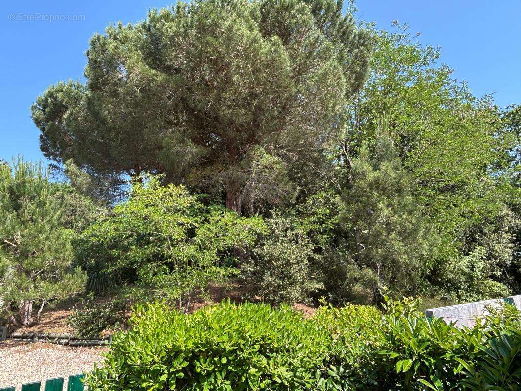 Maison à SAINT-GEORGES-D'OLERON