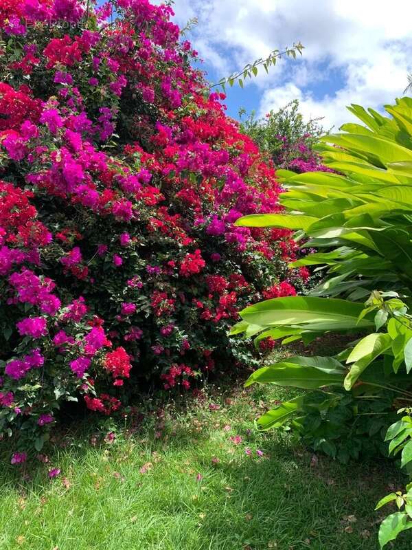 Maison à SAINT-FRANCOIS