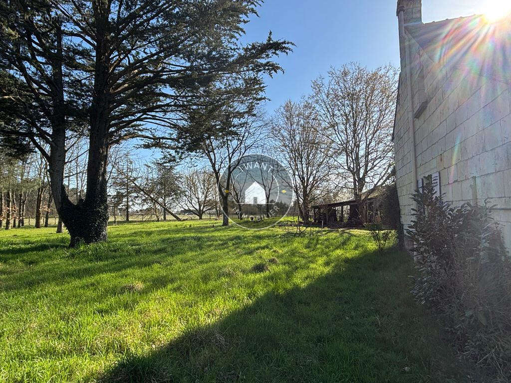 Maison à BEAUFORT-EN-VALLEE
