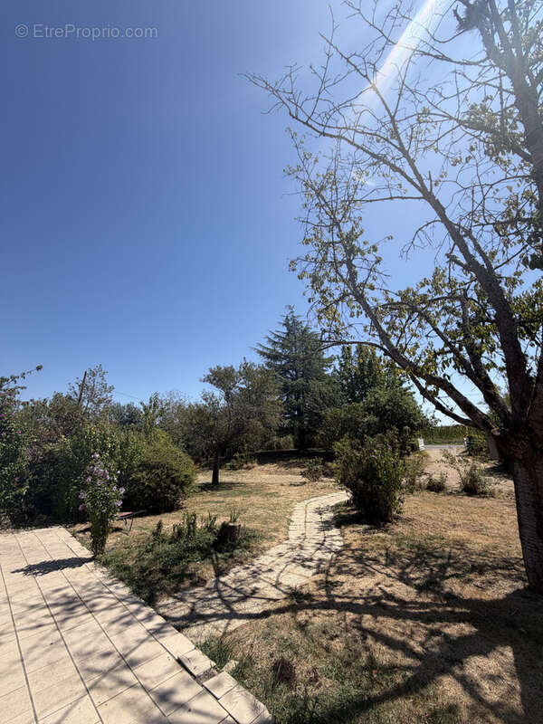 Maison plain pied 3 chambres sur sous sol + terrain agricole - photo 15