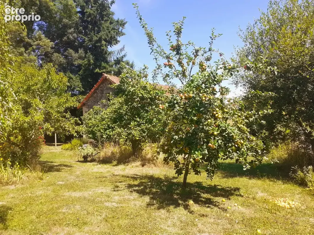 Maison de bourg rénovée avec grand jardin arboré - photo 3