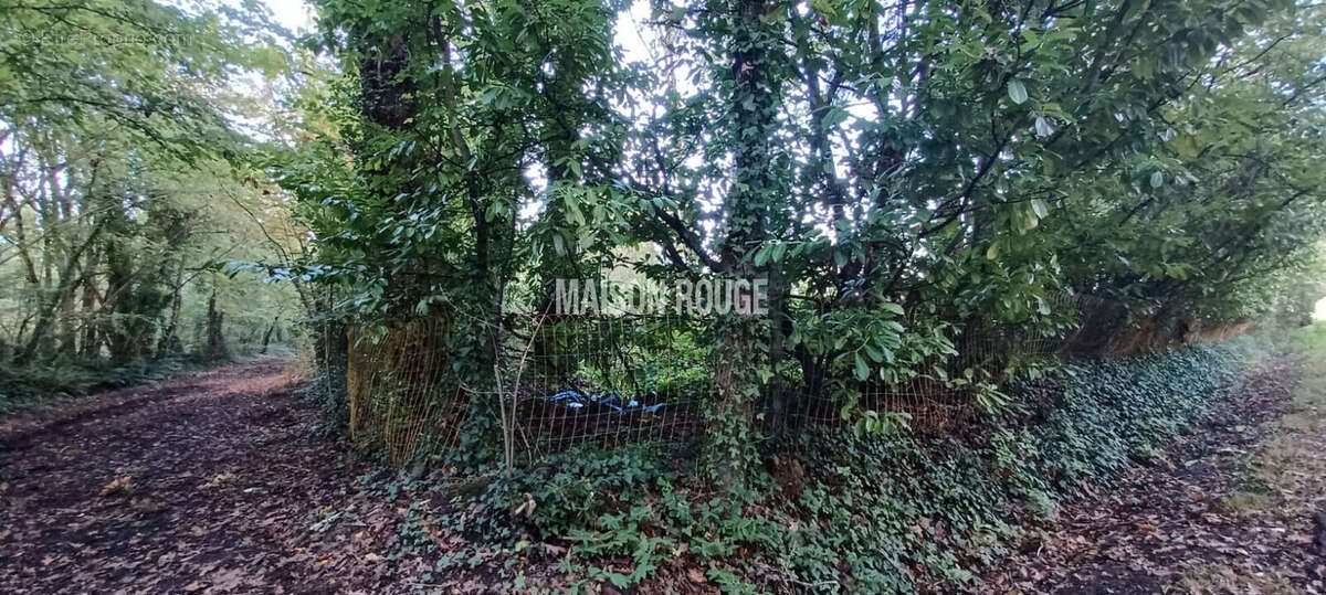 Terrain à PLOUBALAY