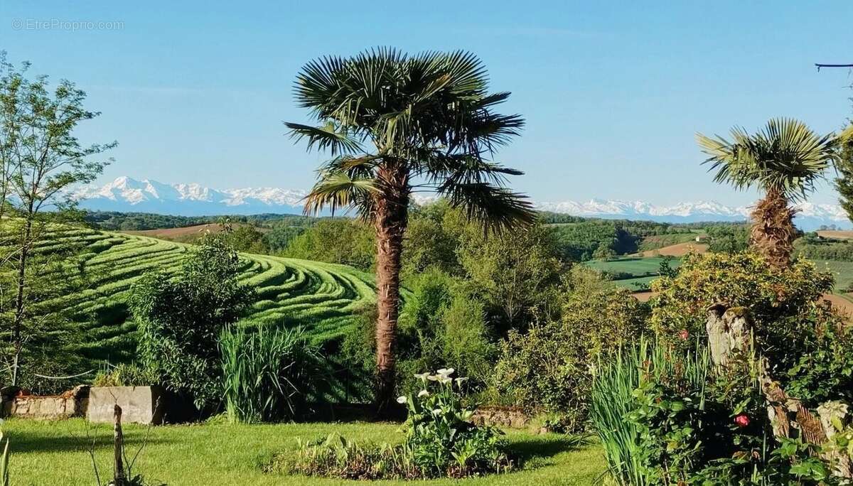 Maison Gascon avec vue panoramique sur les Pyrénées - photo 38