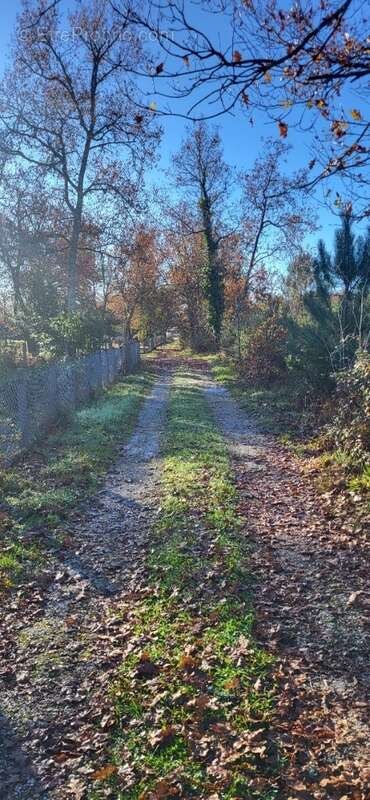 Photo-2024/120641-1-3 - Terrain à LE BARP