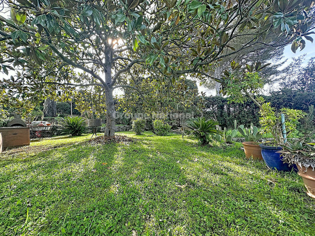 Maison indépendante/4P/Auribeau s/Siagne 186M² sur un terrain de 1515M². - photo 6