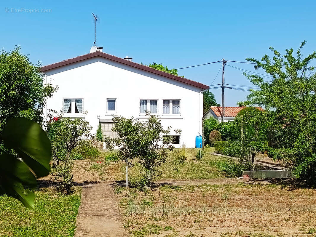 Maison à LUCON