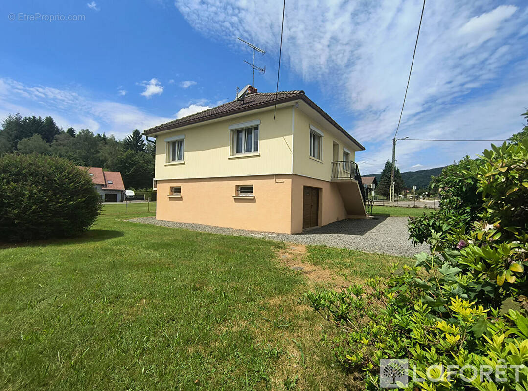 Maison à PLANCHER-BAS