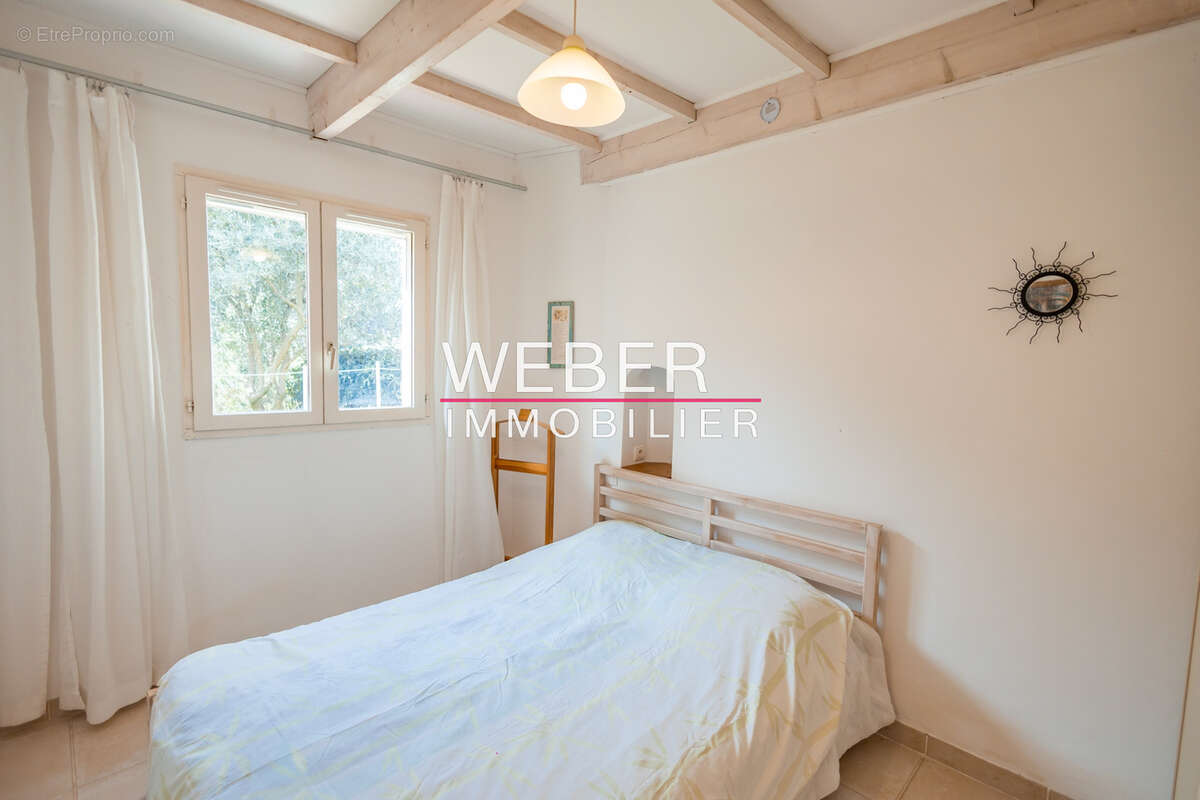 - ollioules - gros cerveau - maison 140 m2 + 2 appartements independants + 2800 m2 terrain - photo 11