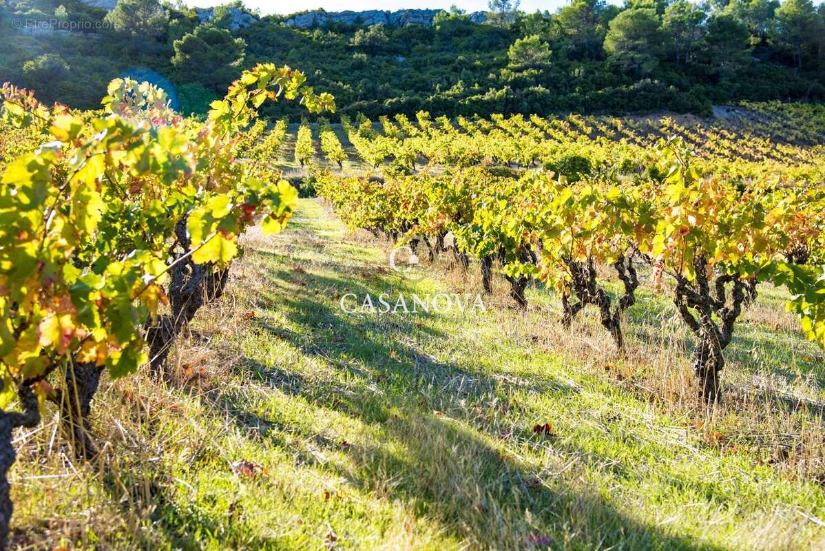 Maison à SAINT-CHINIAN