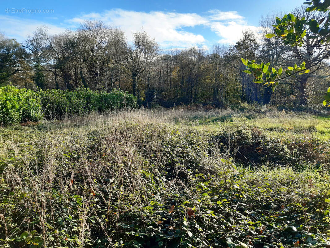 Terrain à LANDUDEC